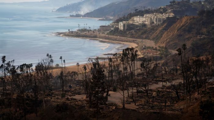 Approximately 12,000 structures have been turned to ash and rubble in posh areas of Los Angeles, the city that houses Hollywood.